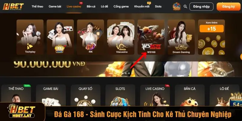 Đá gà 168