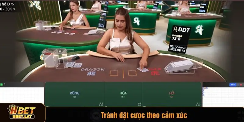 Mẹo chơi Dragon Tiger là tránh cược theo cảm xúc